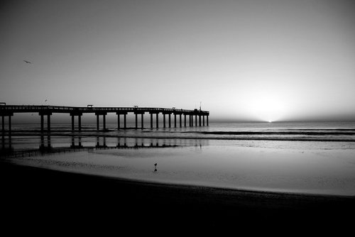 fishing pier  sunrise  monochrome