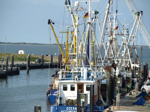 fishing port fishing vessel shrimp