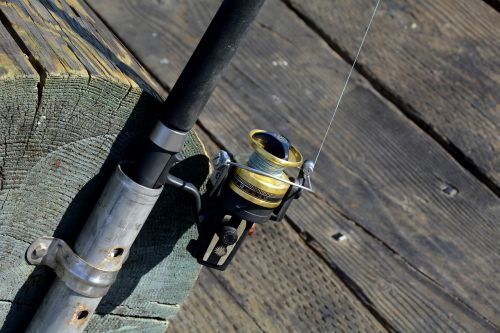 fishing reel fish fishing rod