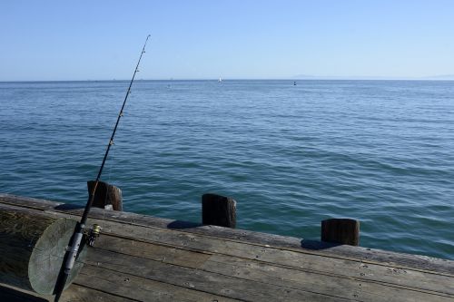 fishing reel fish fishing rod