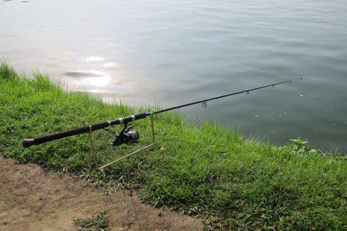 fishing rod fishing hobby