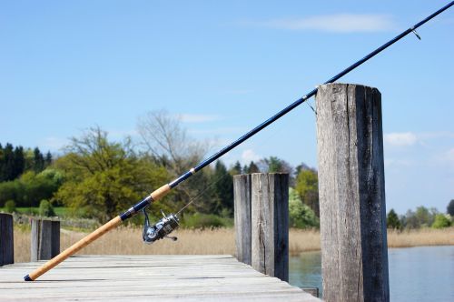 fishing rod fish angler