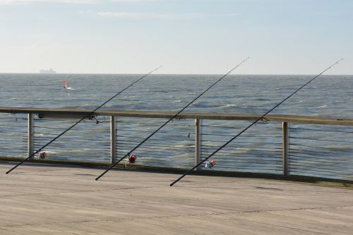 fishing rods sea fish