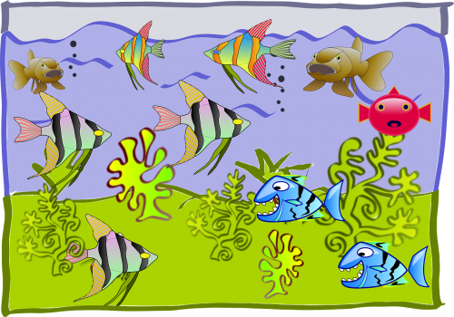 fishtank cartoon aquarium