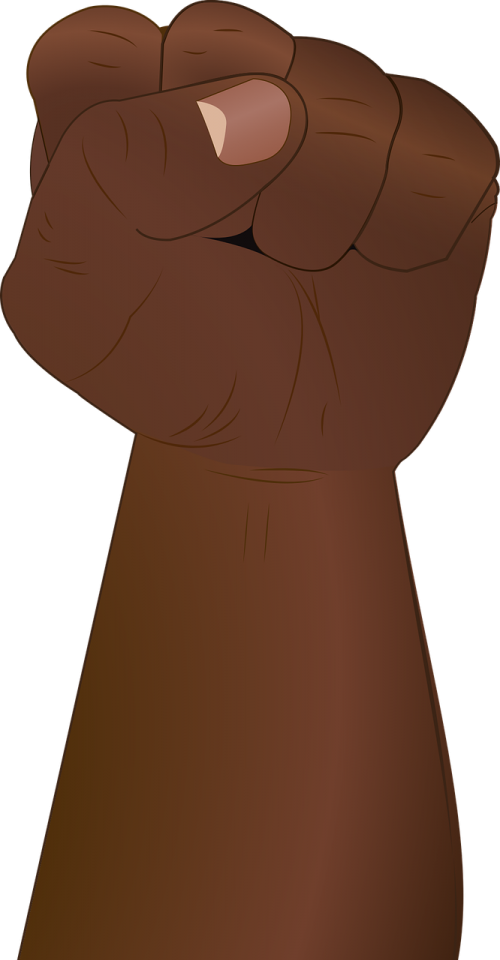 fist hand revolution
