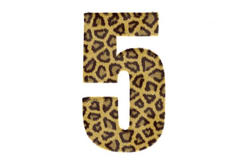 five number pattern