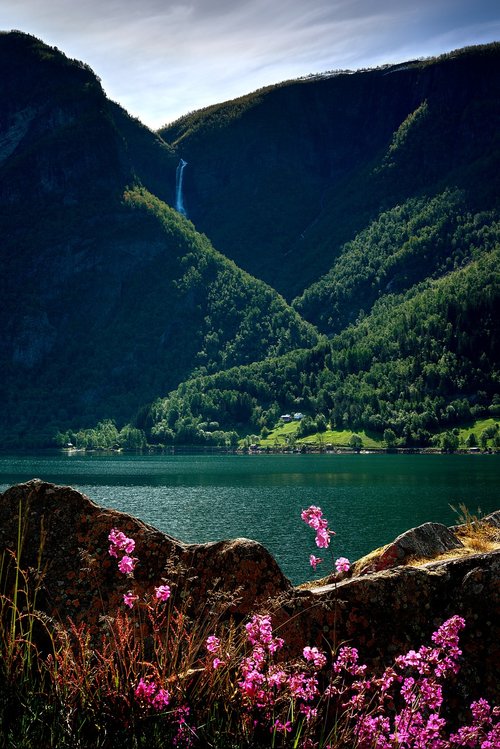 fjord  mountain  nature