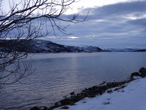 fjord  norway  landscape