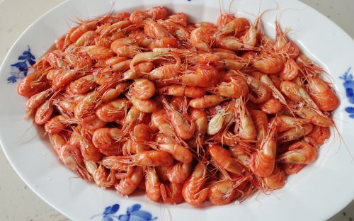fjord shrimp prawns cooked