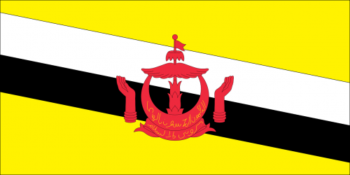 flag country brunei