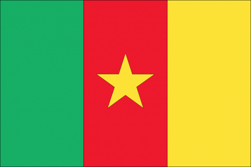 flag country cameroon