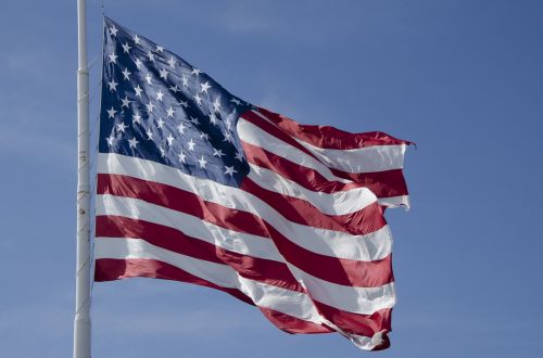 flag waving american