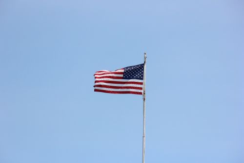 flag waving american