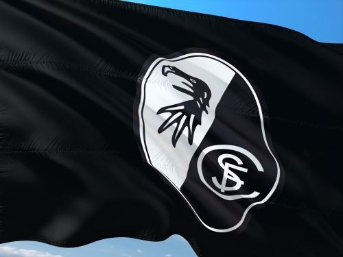 flag logo football