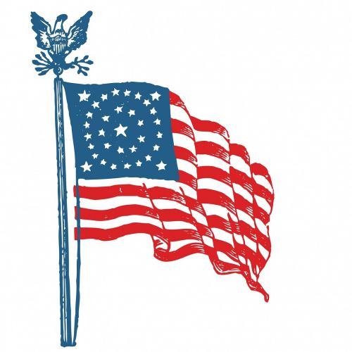 flag waving american