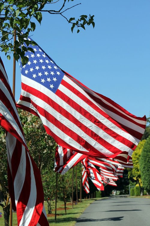 flag  cemetery  memorial day