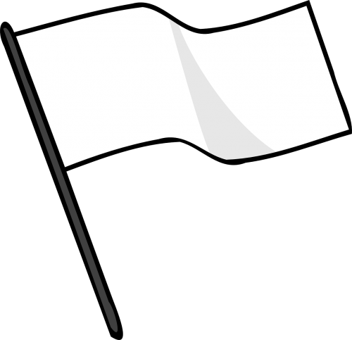flag flying banner