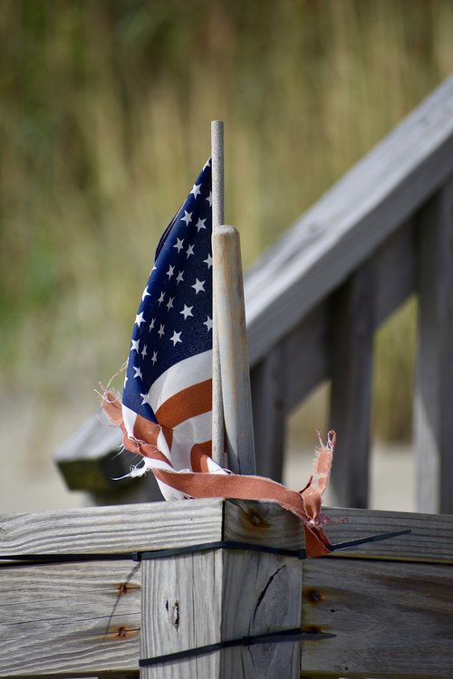 flag  beach  dune