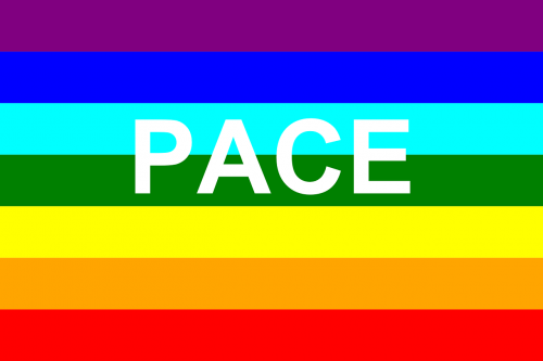 flag pace rainbow