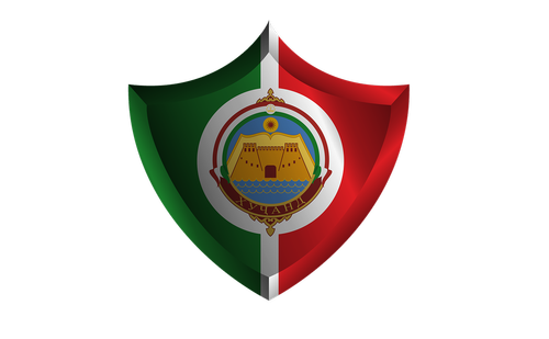 flag  shield  tajikistan
