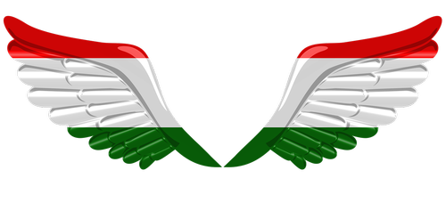 flag  wings  tajikistan