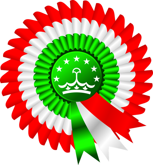 flag  ribbon  iran