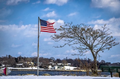 flag  tree  scenic