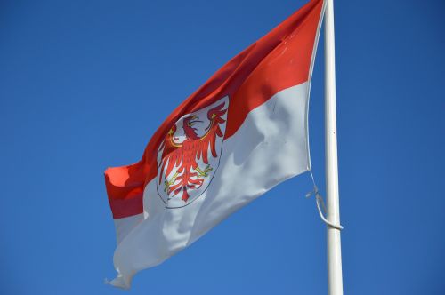 flag brandenburg red eagle