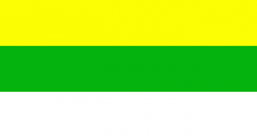 flag canton puyango