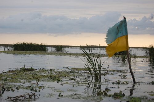 flag ukraine swamp