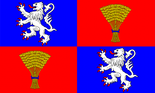 flag of gascony flag heraldry