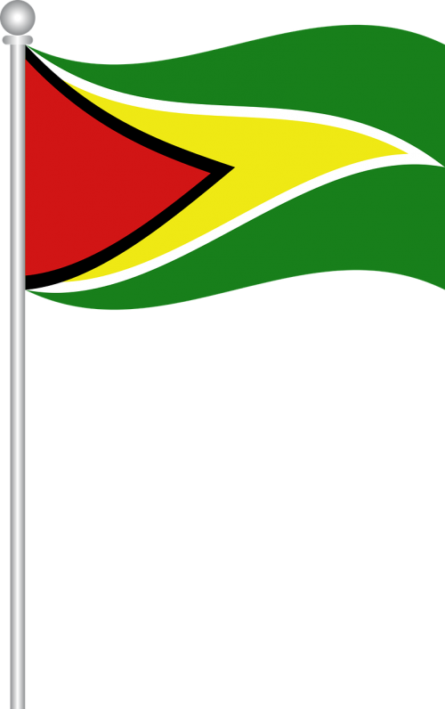 flag of guyana flag guyana