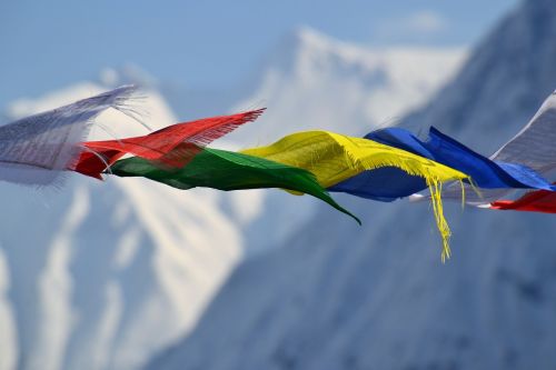 tibetan prayer flags flags color