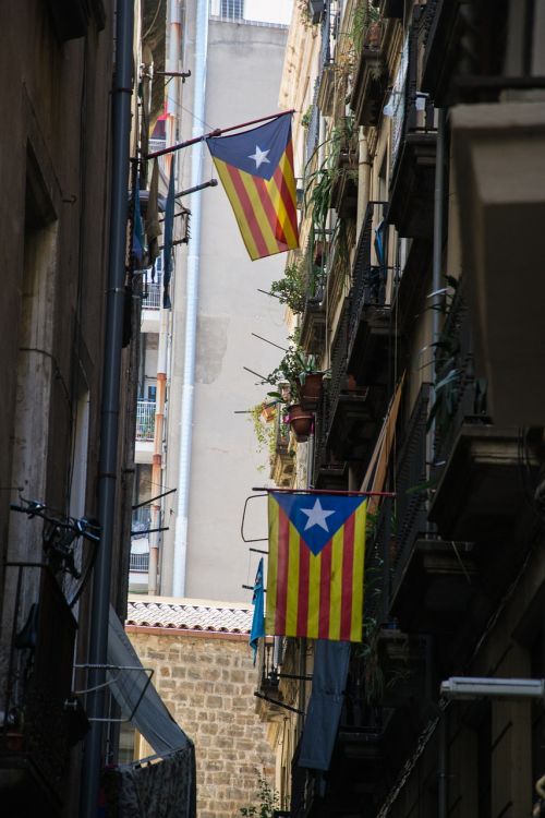 flags catalonia homes