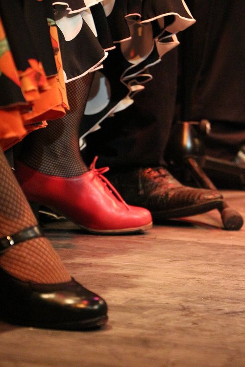 flamenco  shoes  color