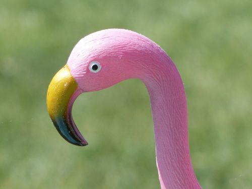 bird flamingo plastic