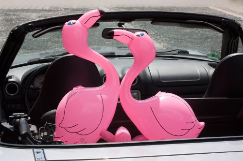 flamingo inflatable pink