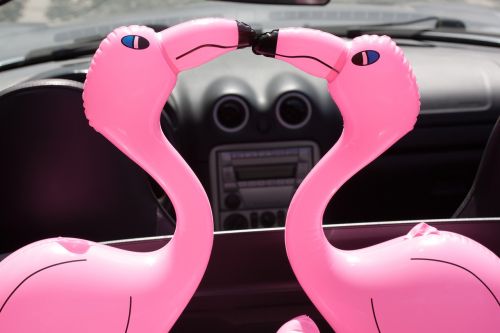 flamingo beaks inflatable