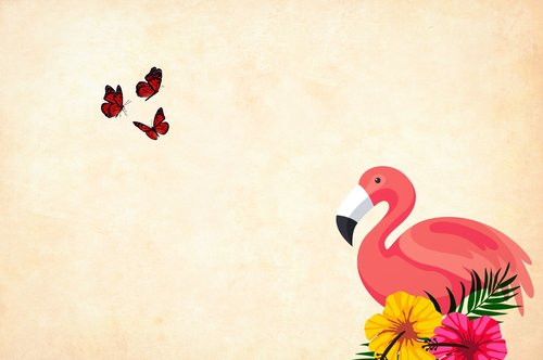 flamingo  flower  background