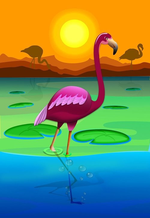flamingo  animals  vektorgrafig