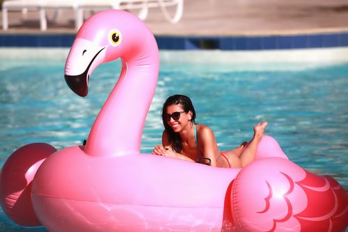 flamingo  pool  sea