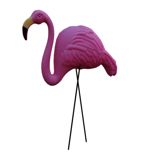flamingo  plastic  pink
