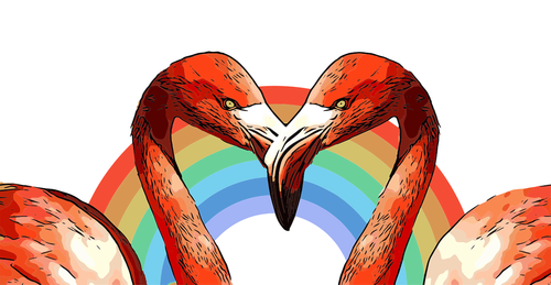 flamingo  rainbow  love