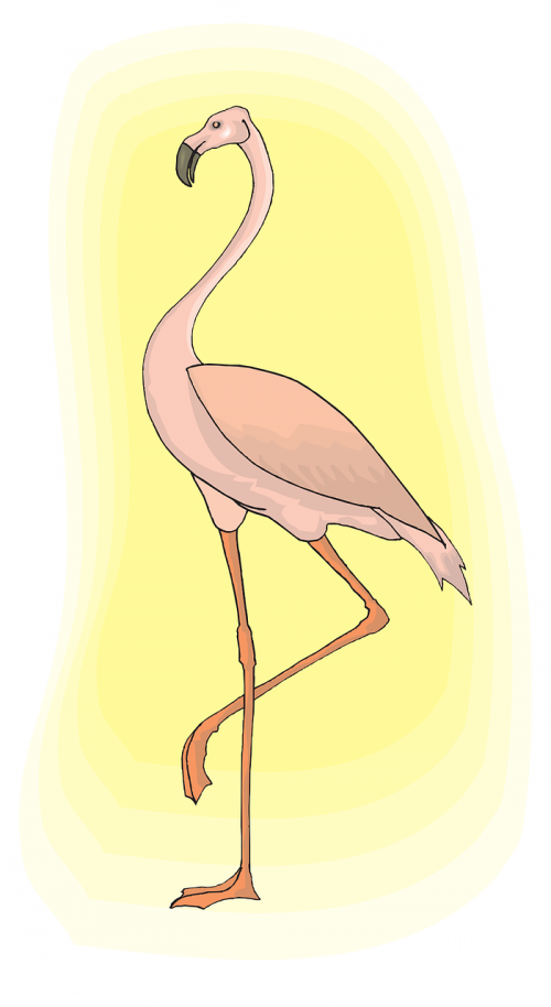 flamingo light pink