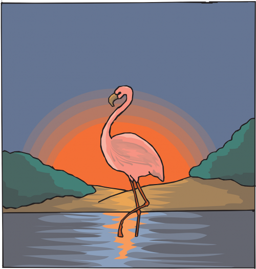 flamingo water pink