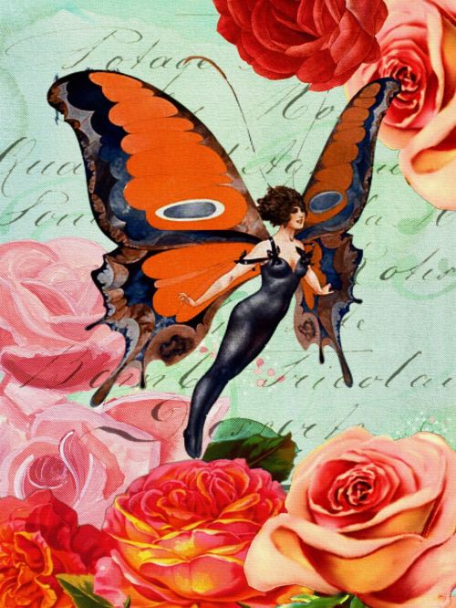 flapper butterfly rose