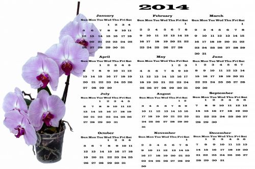Flower - Calendar 2014