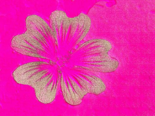 Stylized Flower # 26