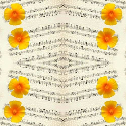 Flowers And Music - 12