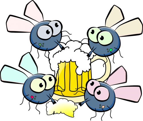 flies drinking beer